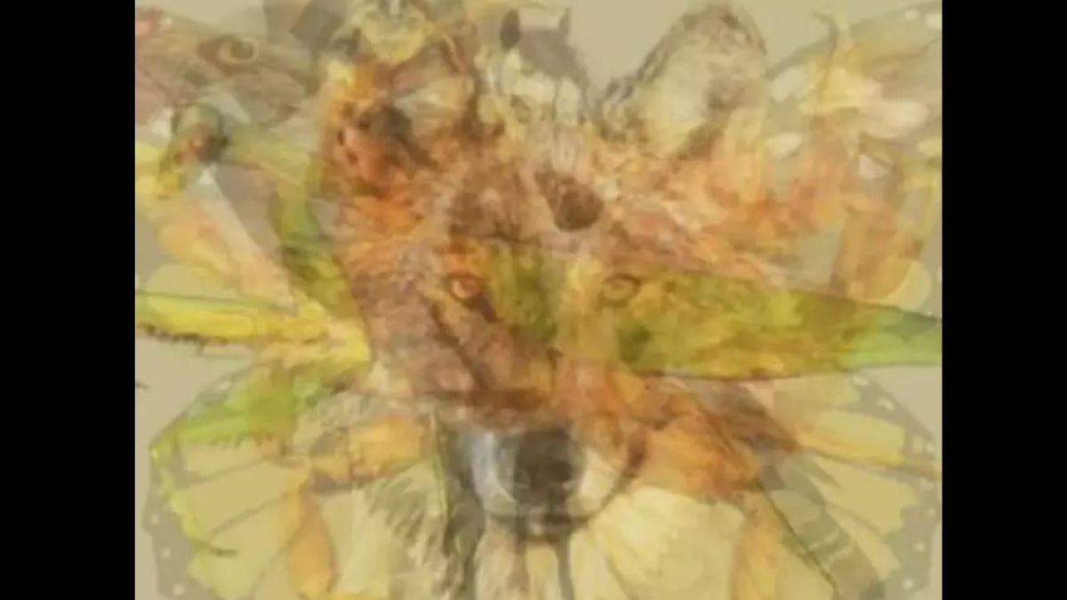 optical-illusion-the-animal-you-see-first-will-reveal-your-personality-traits
